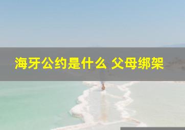 海牙公约是什么 父母绑架